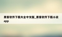 黑客软件下载大全中文版_黑客软件下载小说app