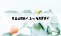 黑客编程技术_java与黑客技术